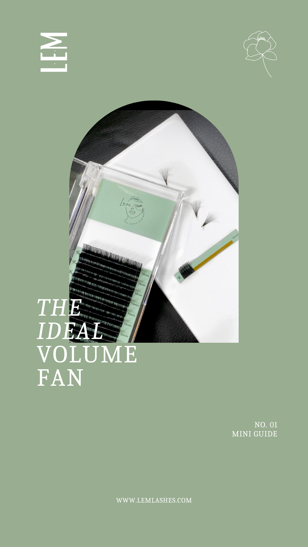 THE IDEAL VOLUME FAN E-book