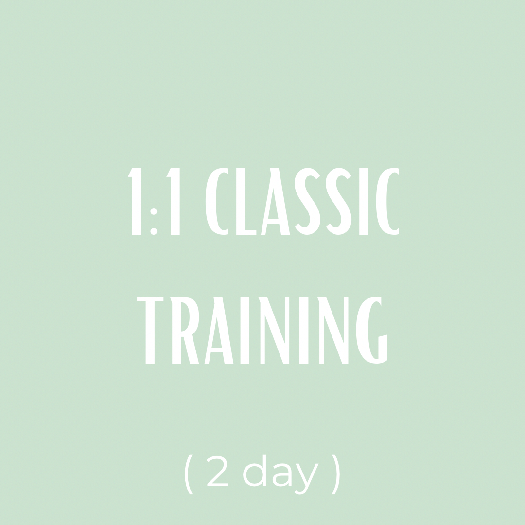 1:1 Classic Lash Training - 2 Day